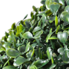 Picture of Boxwood Ball 13" - 2 pcs