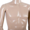 Picture of Male Full Body Mannequin with Base Head Turns