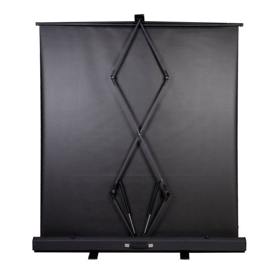 Affordable Variety / Screen Projector 100" Inch 43 Portable Pull Up