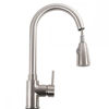 Picture of Kitchen Pull-Out Faucet