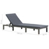 Picture of Outdoor Lounger