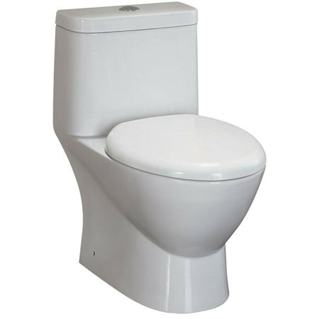 Picture for category 1 PIECE TOILETS