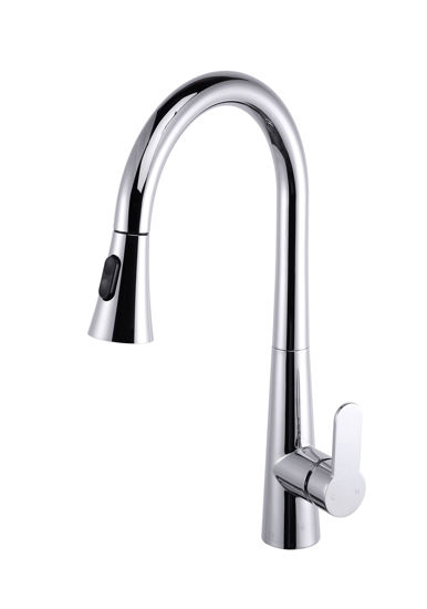 Picture of Kitchen Faucet with Pull Out Sprayer - Chrome