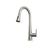 Picture of Kitchen Faucet with Pull Out Sprayer - Brushed Nickel