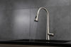 Picture of Kitchen Faucet with Pull Out Sprayer - Brushed Nickel