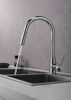 Picture of Kitchen Faucet with Pull Out Sprayer - Chrome