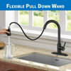 Picture of Kitchen Pull Out Faucet - Matte Black