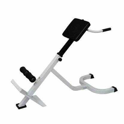 Picture of Home Gym Hyperextension AB Bench