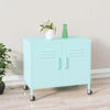 Picture of Steel Storage Cabinet 23" - Mnt