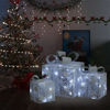 Picture of Christmas Decor Boxes - 3 pc Silver