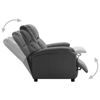 Picture of Living Room Recliner Chair - An