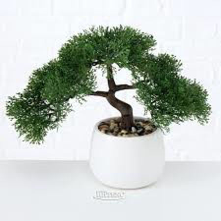 Picture for category ARTIFICIAL FLORA / PLANTS AND ACCESSORIES