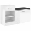 Picture of 37" High Gloss Shoe Bench with Storage EW - White
