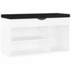 Picture of 31" Shoe Bench with Storage EW - White