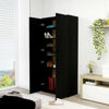 Picture of 31" Shoe Cabinet EW - Black