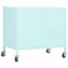 Picture of Steel Storage Cabinet 23" - Mnt