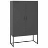 Picture of Office Steel Storage Cabinet 31" - Ant