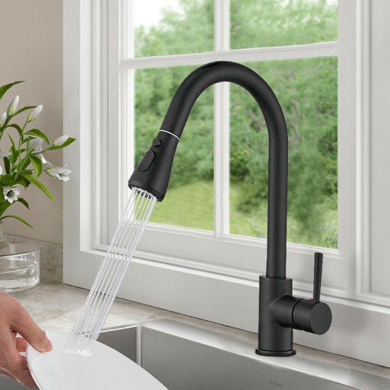 Picture of Kitchen Sink Faucet with Pull Down Sprayer - Matte Black